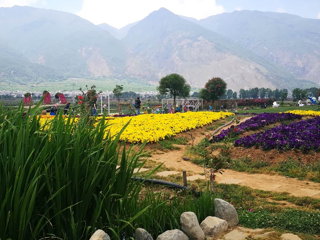 【图文】云南大理花语牧场(一)