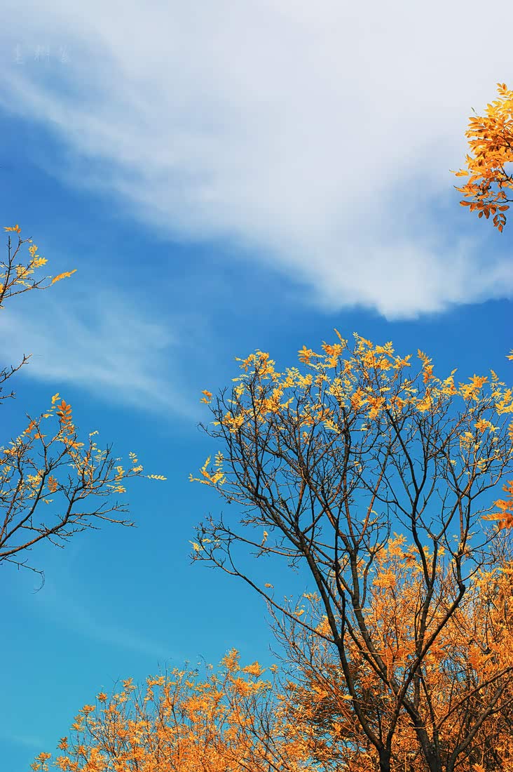 秋高气爽郊外出游最佳时秋天是一个如诗般的季节