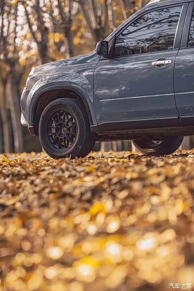 也许是第一台水泥灰的奇骏t31 —— 2020作业