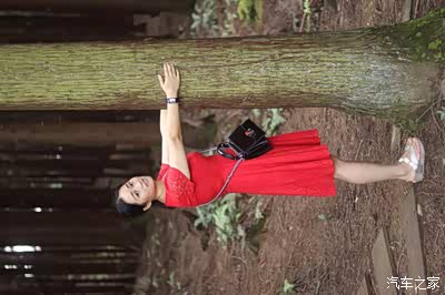 开上维特拉,圆自己和老婆一个心愿——江津四面山游一圈