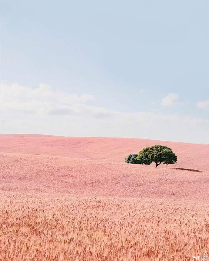 干净的圈子,规律的生活,中意的人,早安朋友们!