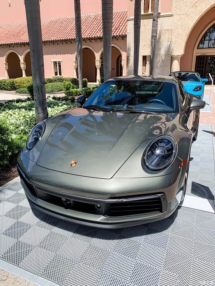 【图】沙金石绿 已定,请问谁有实物图_保时捷911论坛_汽车之家论坛