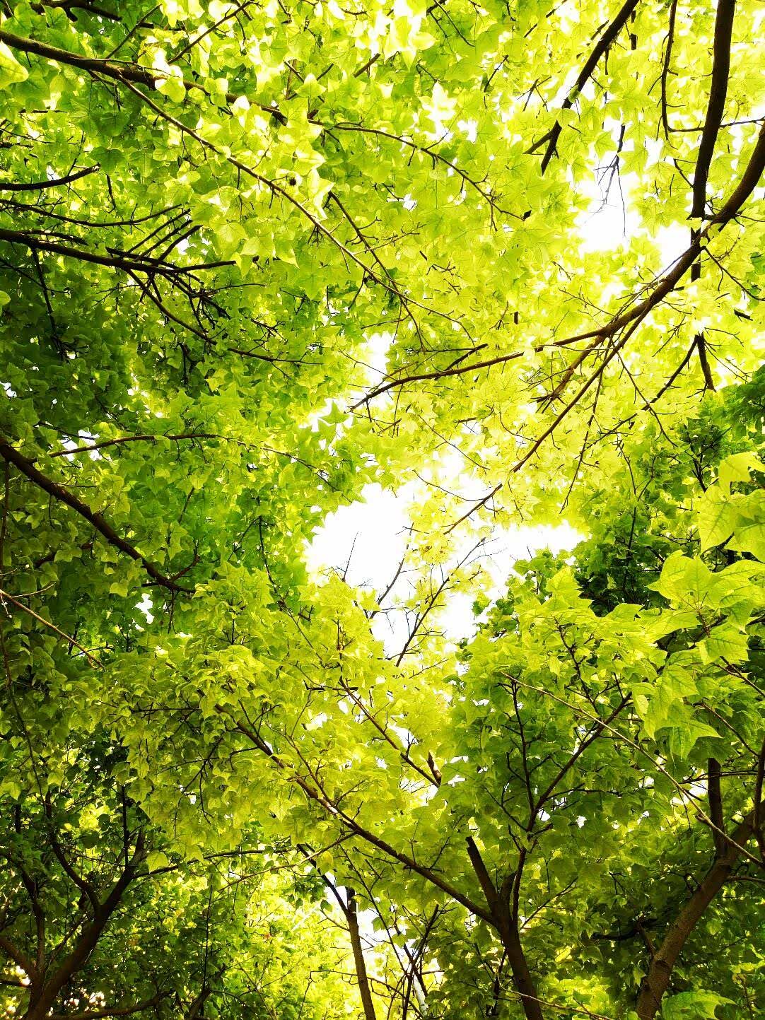 美丽好心情善于发现身边的美丽阳光明媚