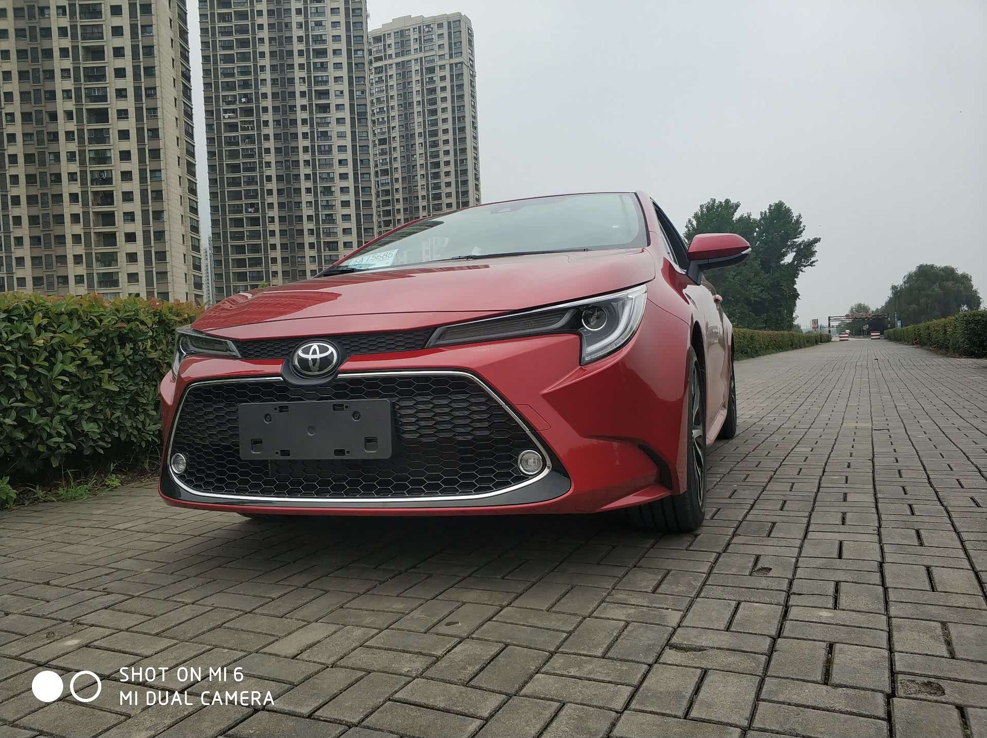 雷凌运动提车珊瑚红