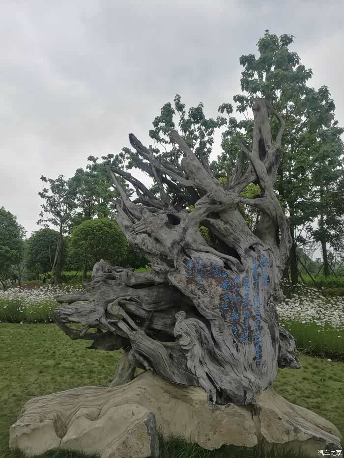 威享生活之鸣庄湖湿地公园游记