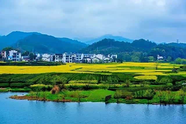 婺源,鲜活在春天里的最美乡村