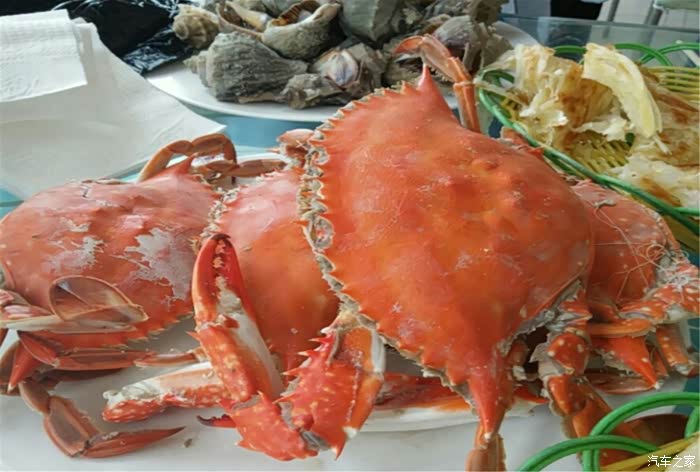 【辽宁长安车友俱乐部】自驾大鹿岛品海鲜