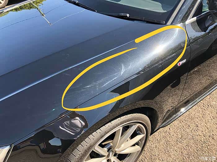 【图】奥迪a4车漆太阳纹怎么解决?_奥迪a4l论坛_汽车之家论坛