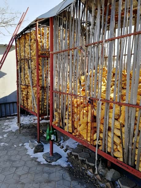 还有丰收的粮谷满仓.