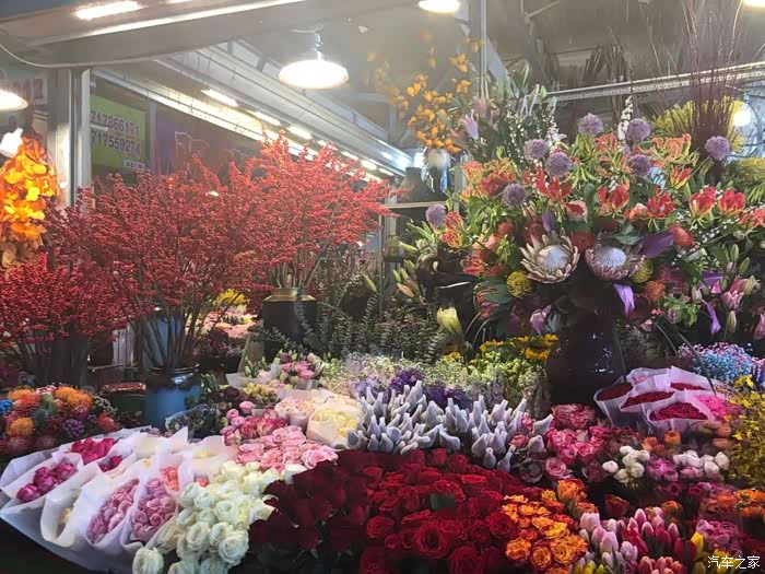 探岳出游记之来广营花卉市场