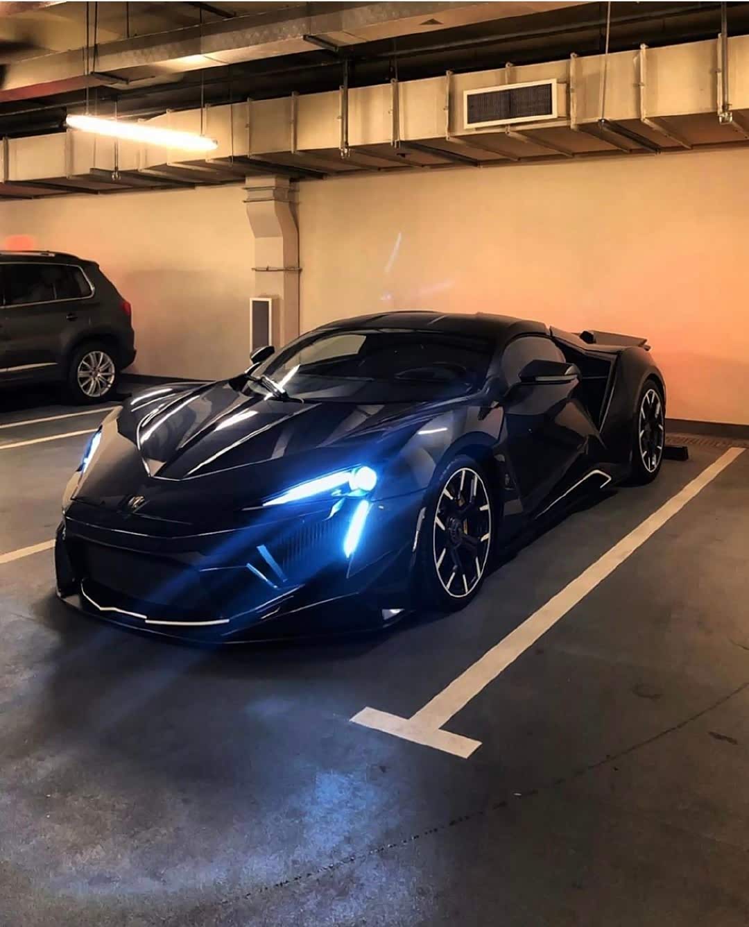 迪拜狼王颜值超高的组合