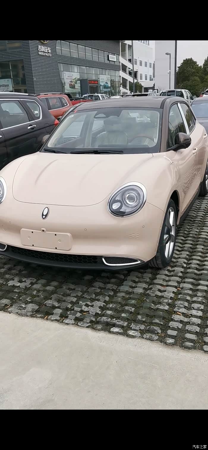 【图】今天提了雅典娜万人米睿智棕_欧拉好猫论坛_汽车之家论坛