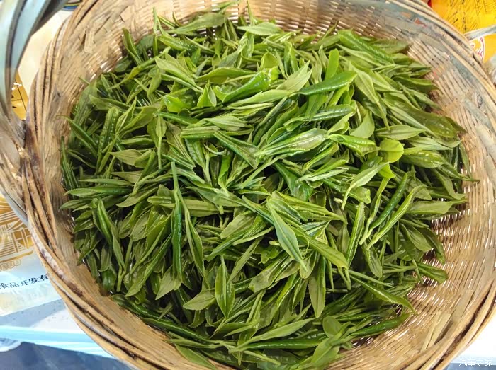 一杯金井茶观人生沉浮