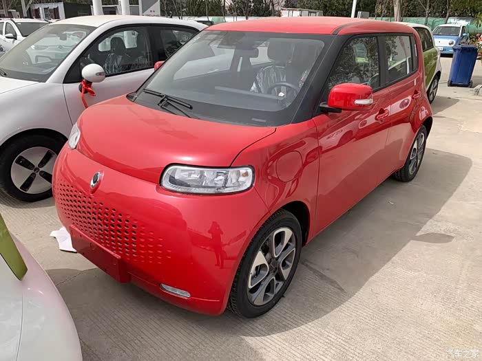 欧拉白猫,红色,还有谁?