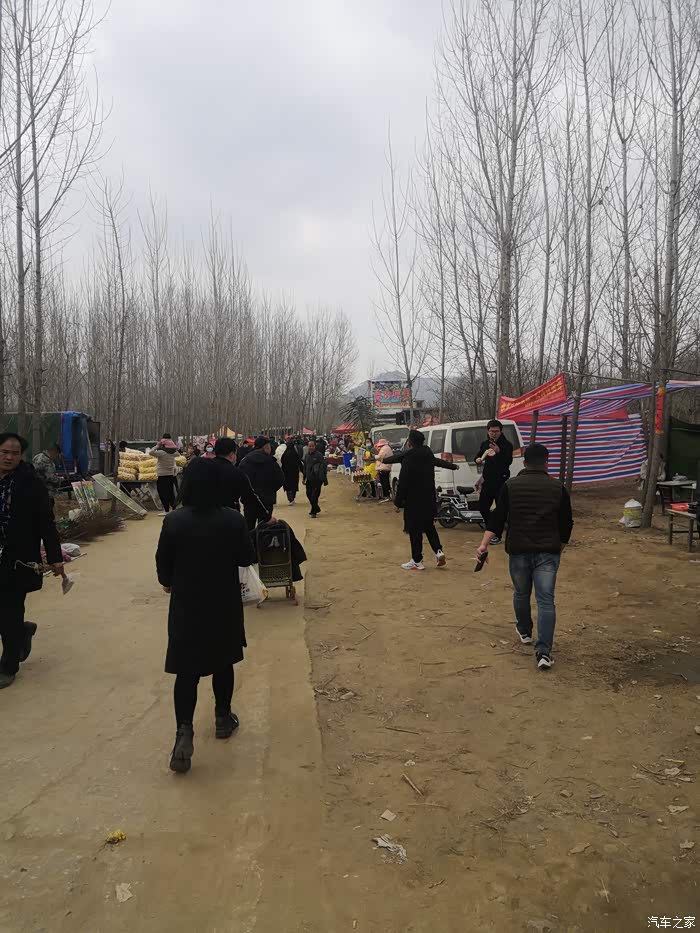 访拉面哥家乡山东费县杨树行村