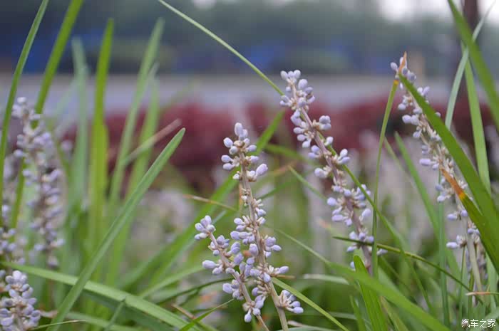 蓬莱仙岛第一日
