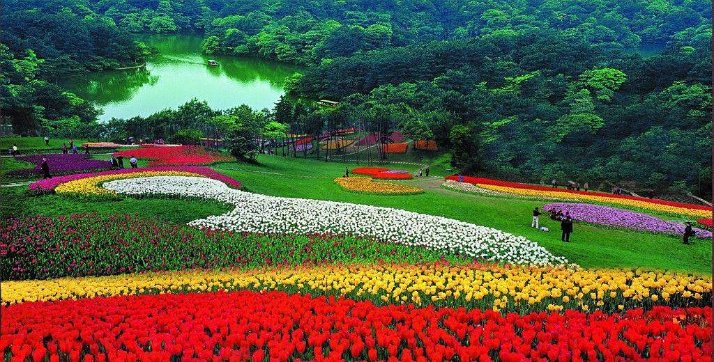 石象湖风景区位于成都蒲江县境内,这里花种类多,数量多,花期长
