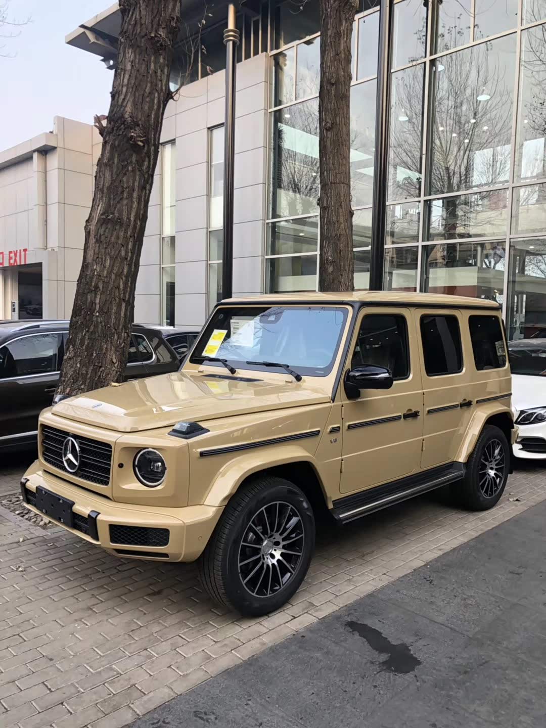 【图】你黄色的大g是那么优雅有气质_奔驰g级论坛_汽车之家论坛