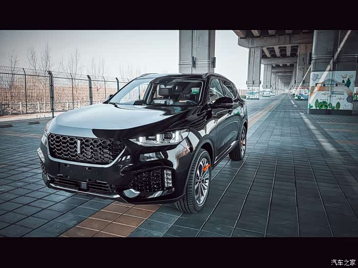 中国年#中国wey#对你完美展示,黑武士大桥下写真一组