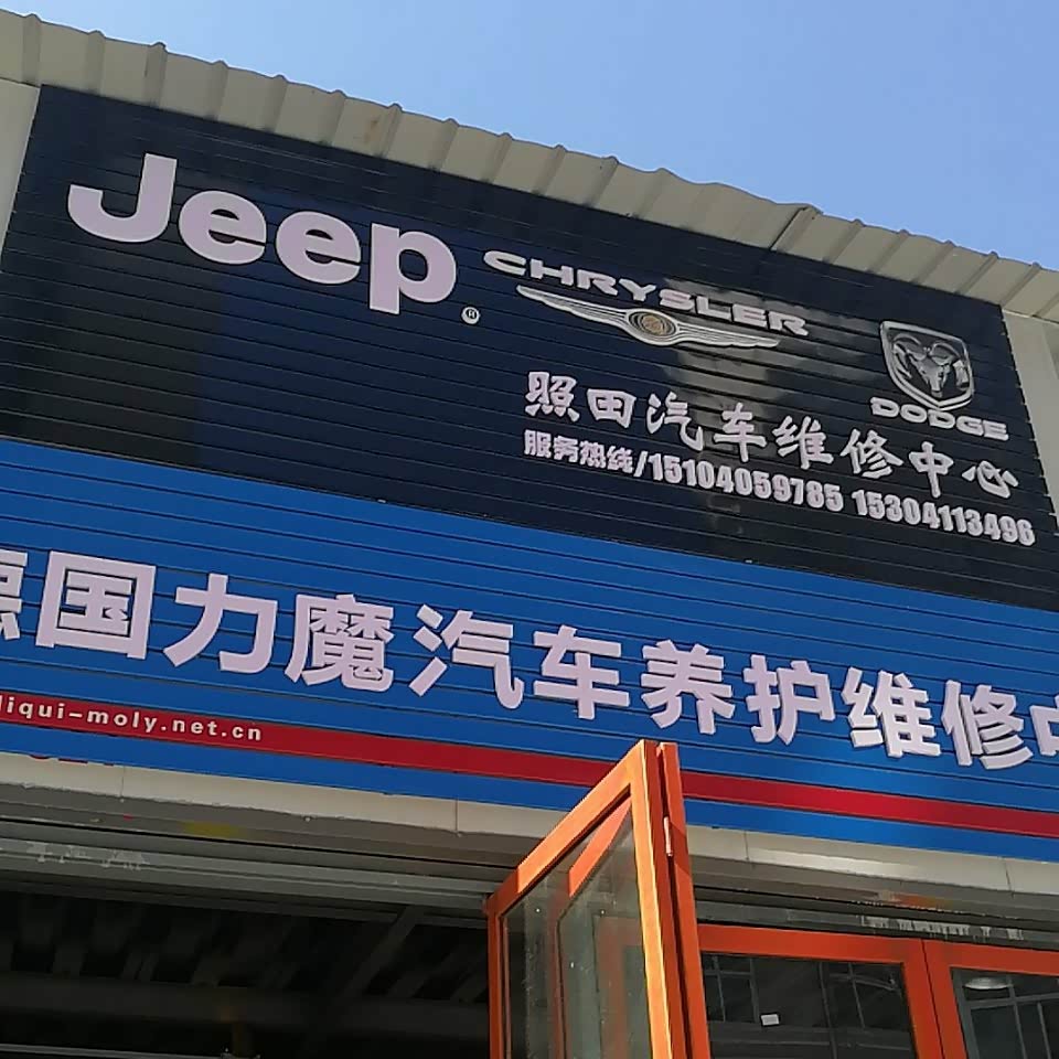 "小奶狗"变"大狼狗"——光光"镶牙"记