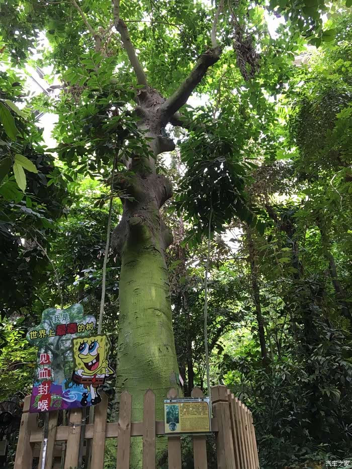 自驾哈二前往华南植物园游玩