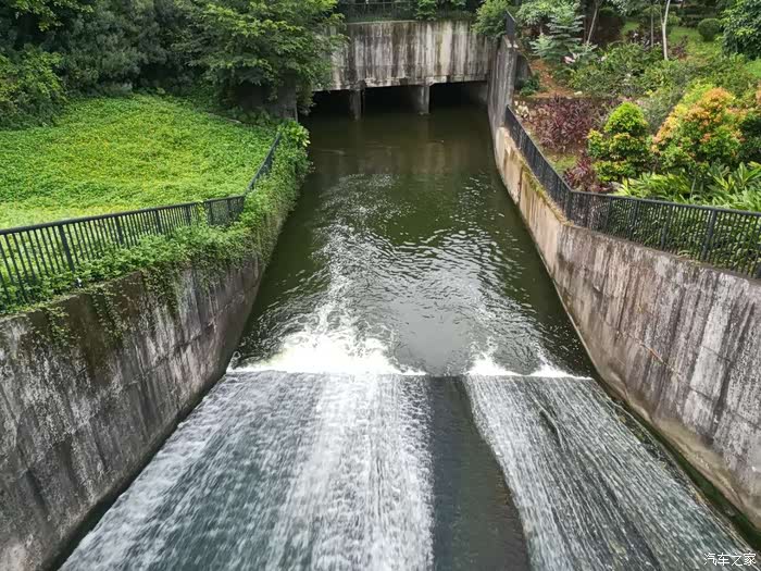 深圳长安车友会488彦雨后相约月荷湖