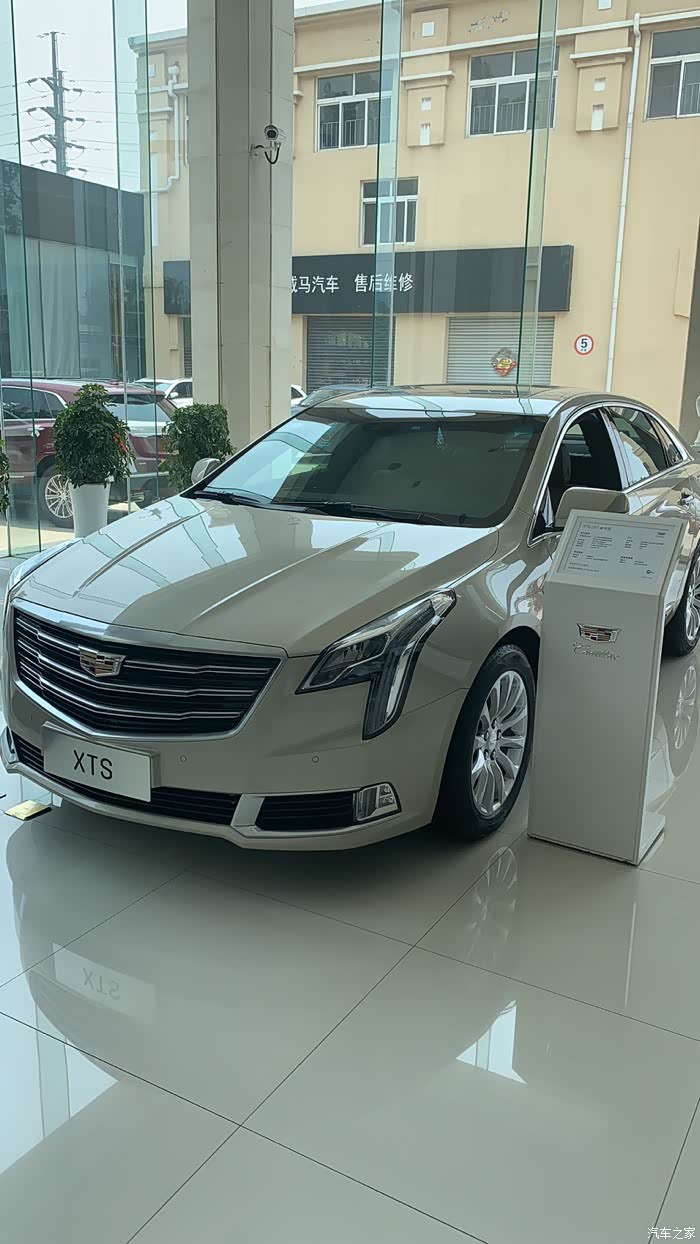 喜提爱车xts豪华版耀金色