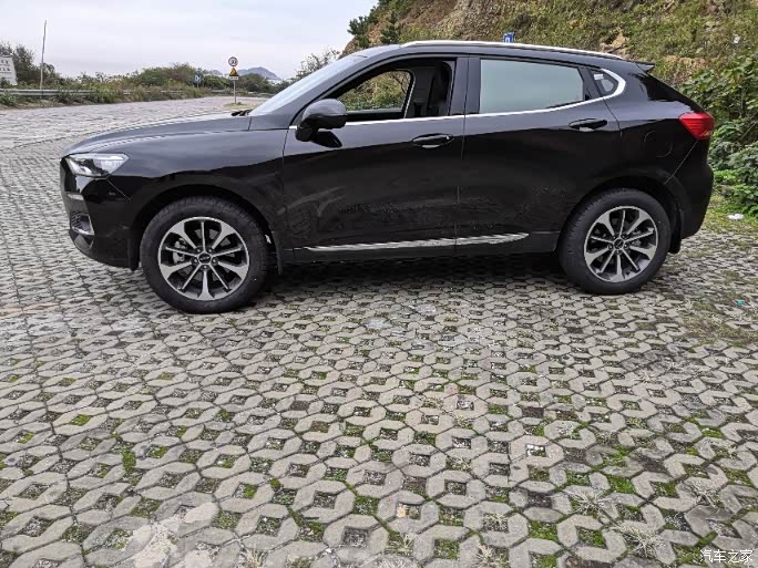 【图】大黑酷f5和我们一起去千年曙光园_哈弗f5论坛_汽车之家论坛