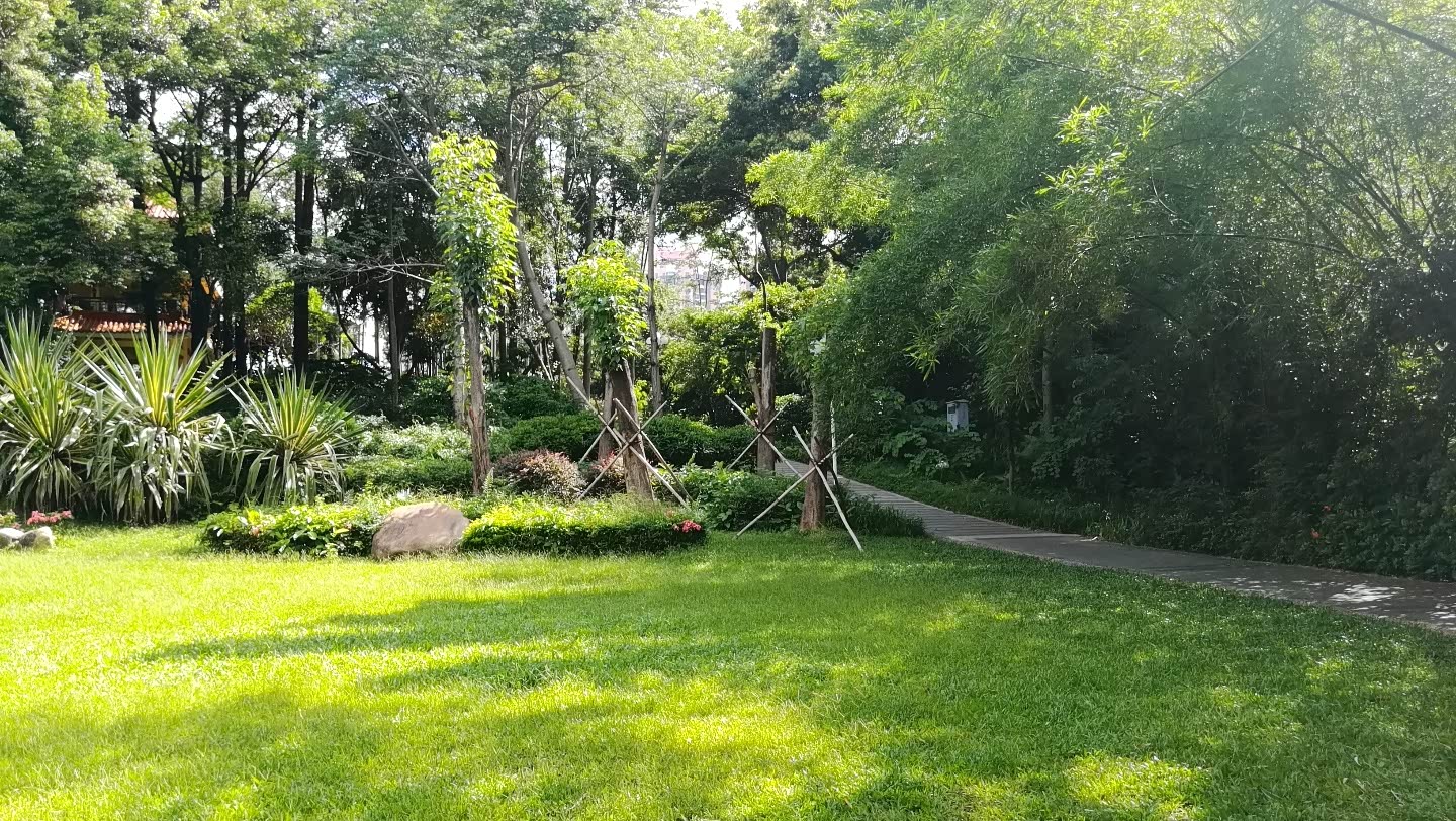 人生得意须尽欢,公园漫步.