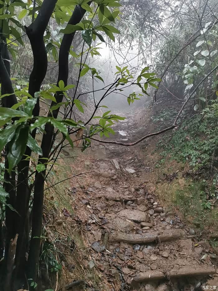 动力十足轻轻松松开山路