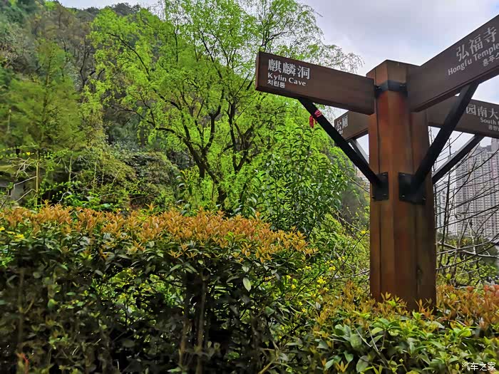 春天里的黔灵山公园