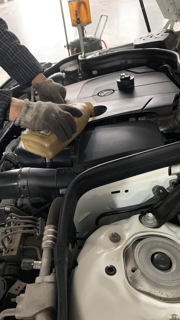 【图】一年一次-六保作业_奔驰e级论坛_汽车之家论坛