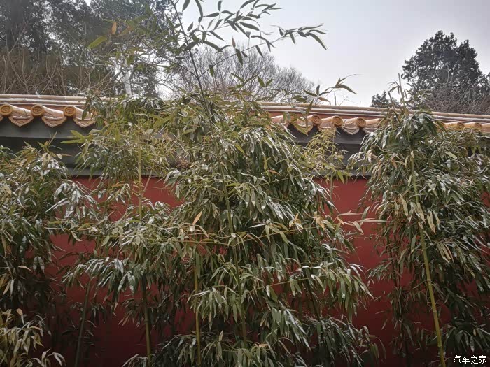 瑞雪兆丰年 登景山公园俯瞰银色故宫