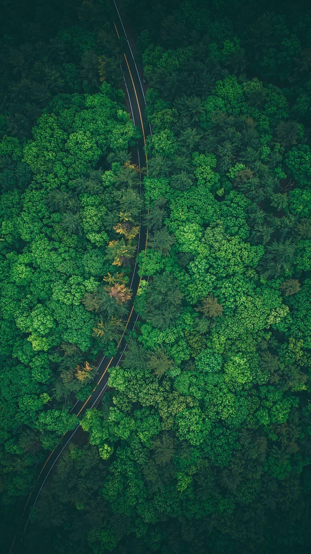 知足且坚定温柔且上进