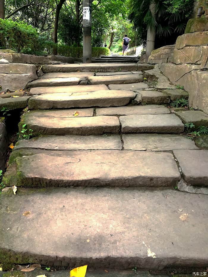 重庆南山黄葛古道