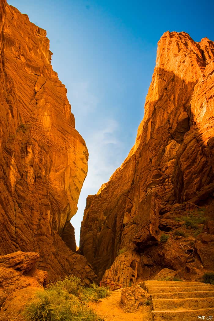 万物复苏送福利色彩交融光影变换