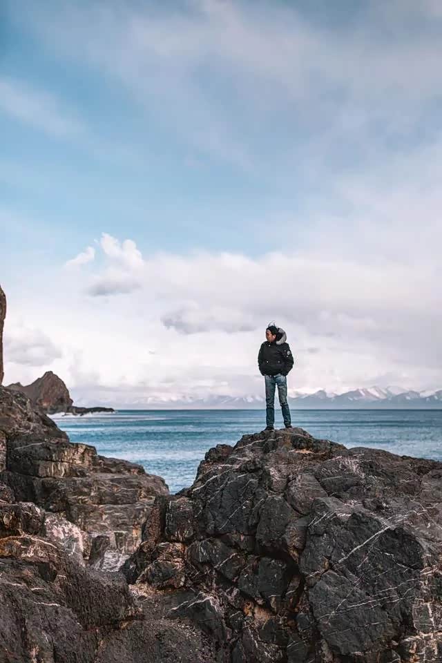心情像自由一样的飞翔