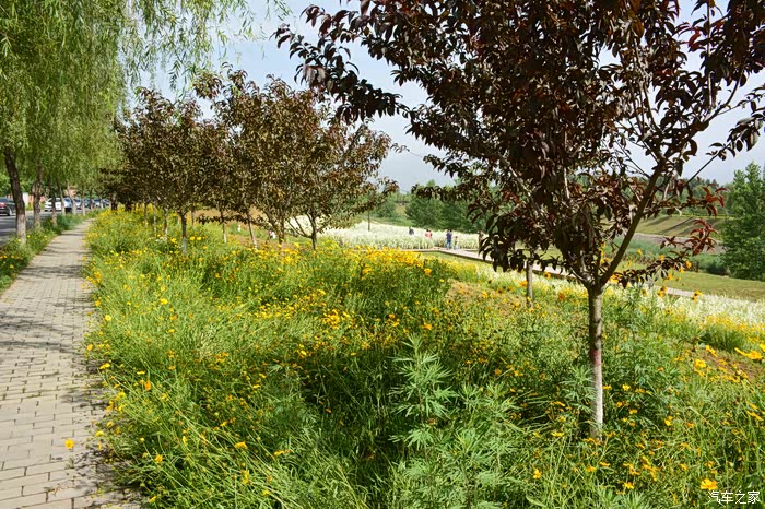 洨河生态公园休闲游