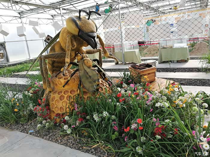 领克02忘忧农场体验原生态