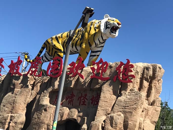 怪坡东北虎园是世界第三大东北虎饲养基地.