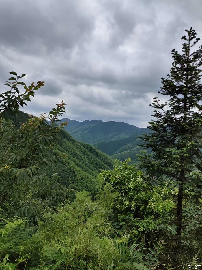 开车去大山放风去了