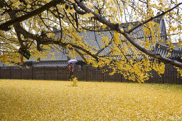 秋成落叶也成思,叶落相思人不知,一叶知秋落,秋思万古枯.