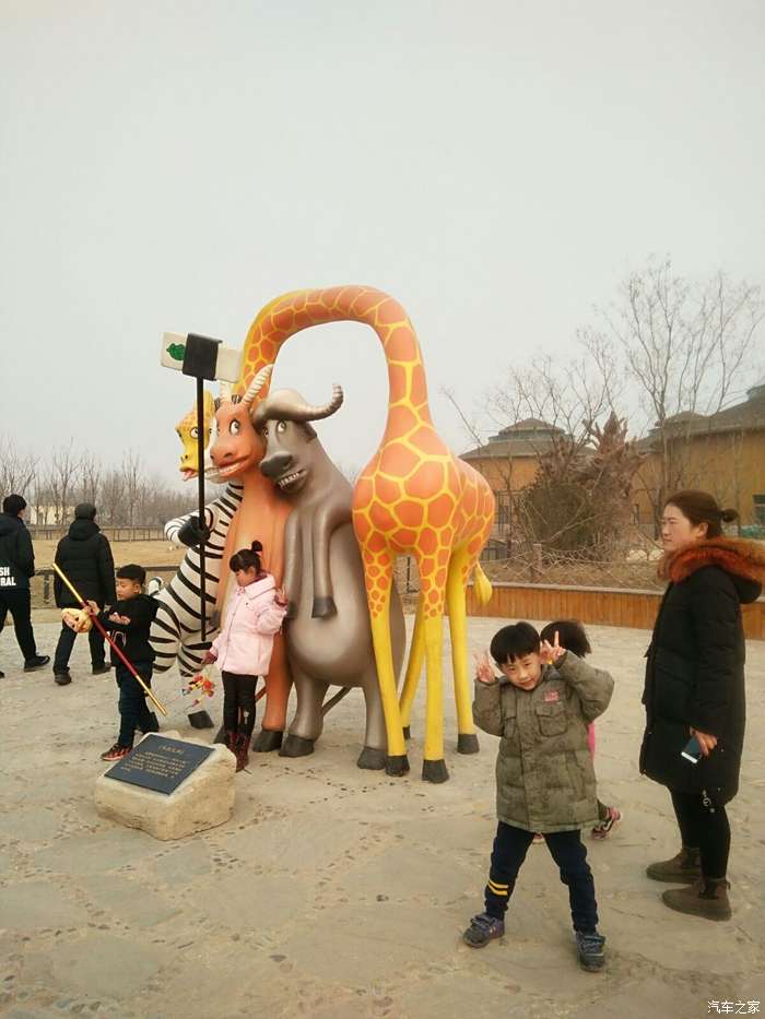 【萬物復甦送福利】滄州動物園遊玩(四)