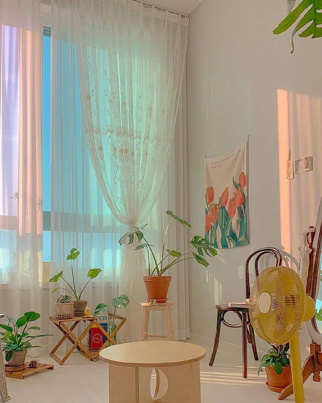 又是一个美好的周五清晨,元气满满呀