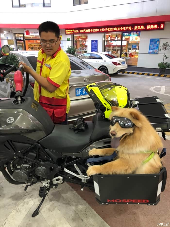 【图】骑trk502带狗狗_贝纳利摩托车论坛_汽车之家论坛