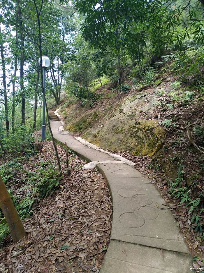 南山森林公園登山記.