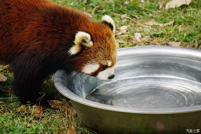 远离城市的喧闹,大蜀山野生动物园半日游!