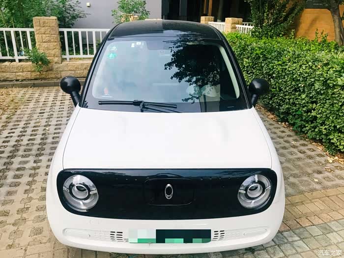 【图】呆萌又实用,我的功夫熊猫——欧拉r1_欧拉黑猫论坛_汽车之家