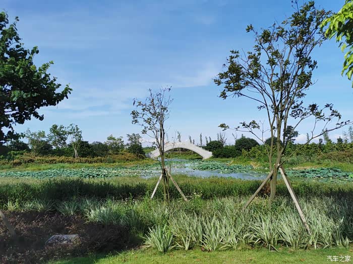 【不改?怎么型!】吉利缤瑞上市两周年,因一台车相聚在湿地公园