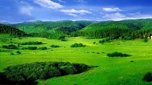 我是你转身就忘的路人甲,凭什么陪你蹉跎年华到天涯?